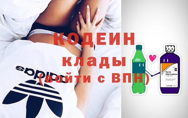 шишки Долгопрудный