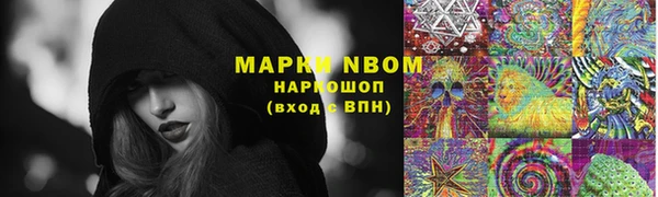 трава Надым