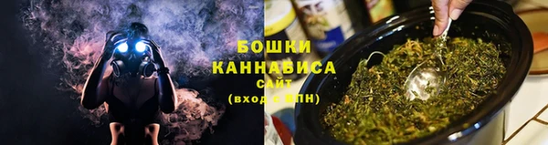 ПСИЛОЦИБИНОВЫЕ ГРИБЫ Наволоки