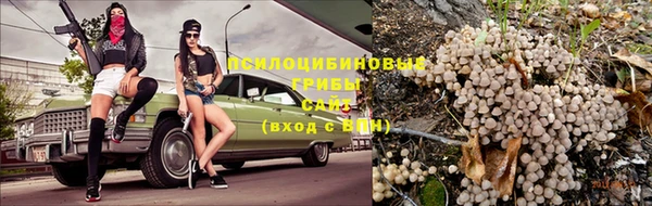 ПСИЛОЦИБИНОВЫЕ ГРИБЫ Наволоки