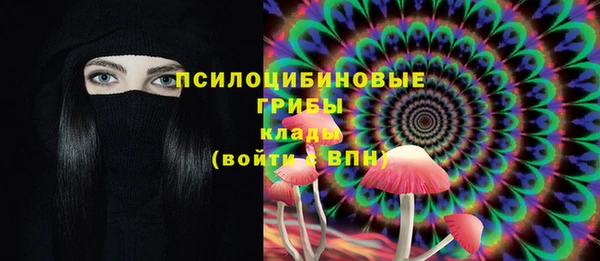 твердый Нея