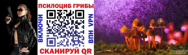 Купить  Заполярный  Псилоцибиновые грибы Cubensis 